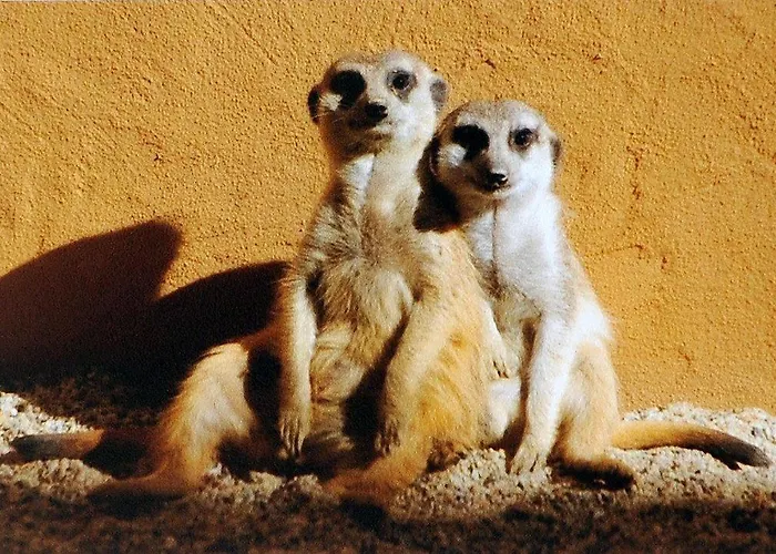 Bambara Hotel Felsőtárkány