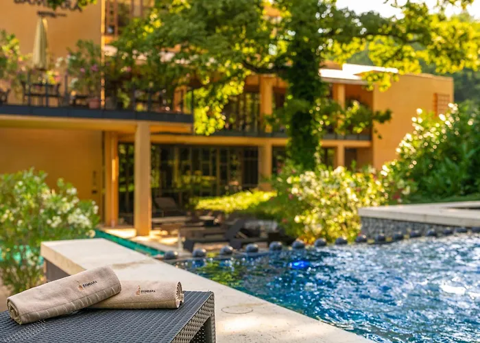 Bambara Felsőtárkány